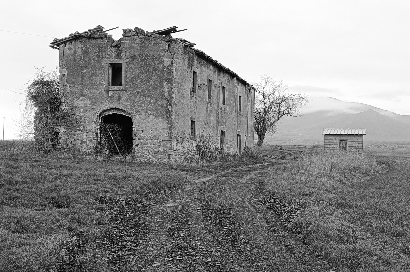 Alfredo Giacomini-Alfredo Passeri, Architettura rurale nella Tuscia, pres. Giancarlo Angelelli, Davide Ghaleb Editore